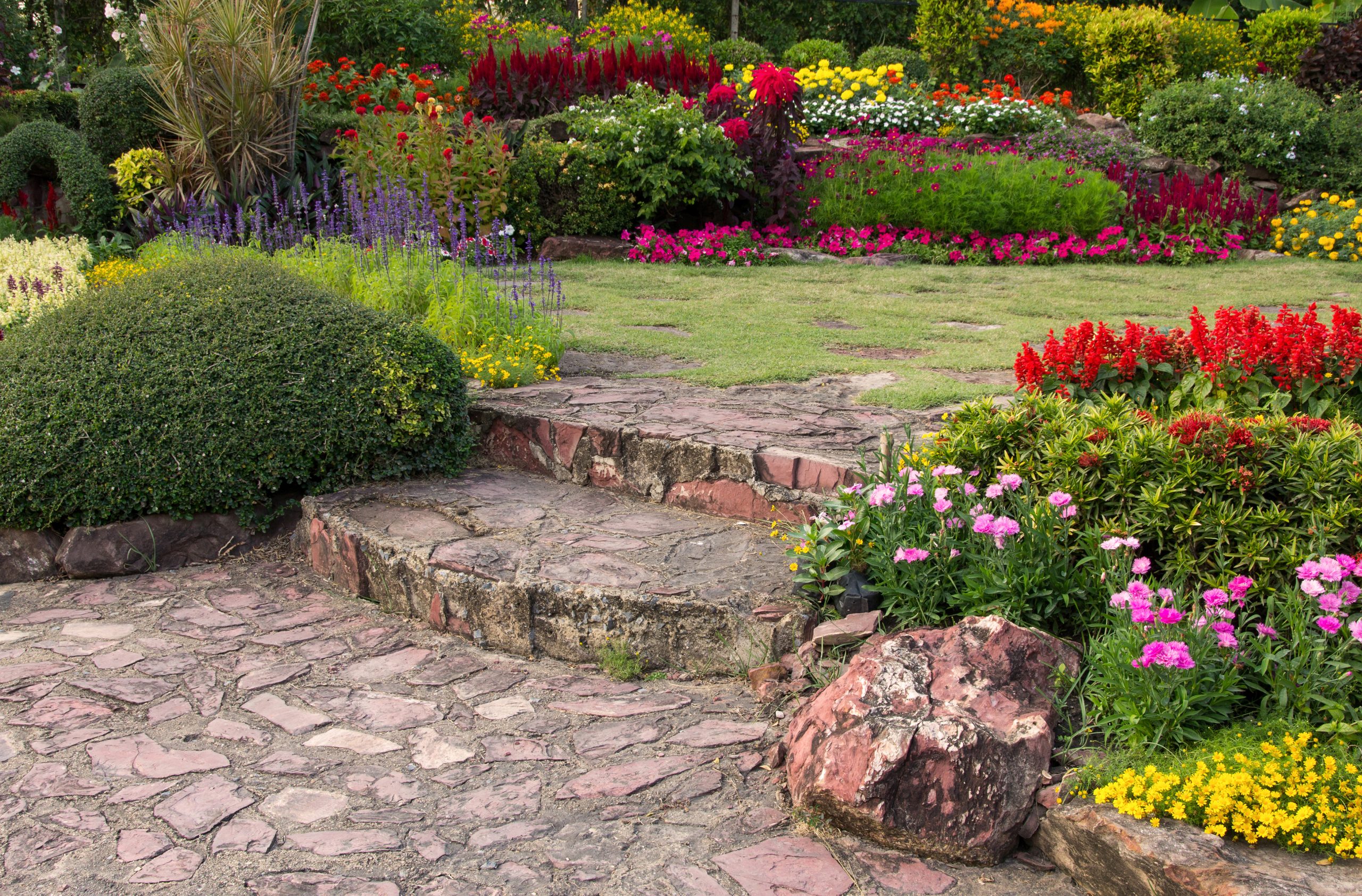 Jardín para meditar
