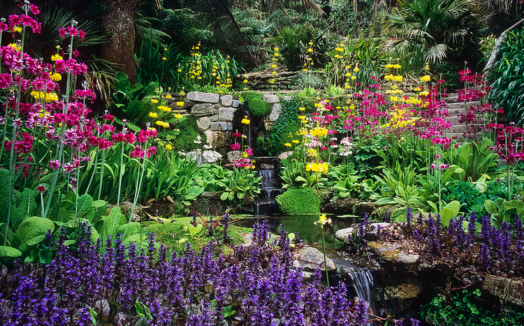 Imagen 2