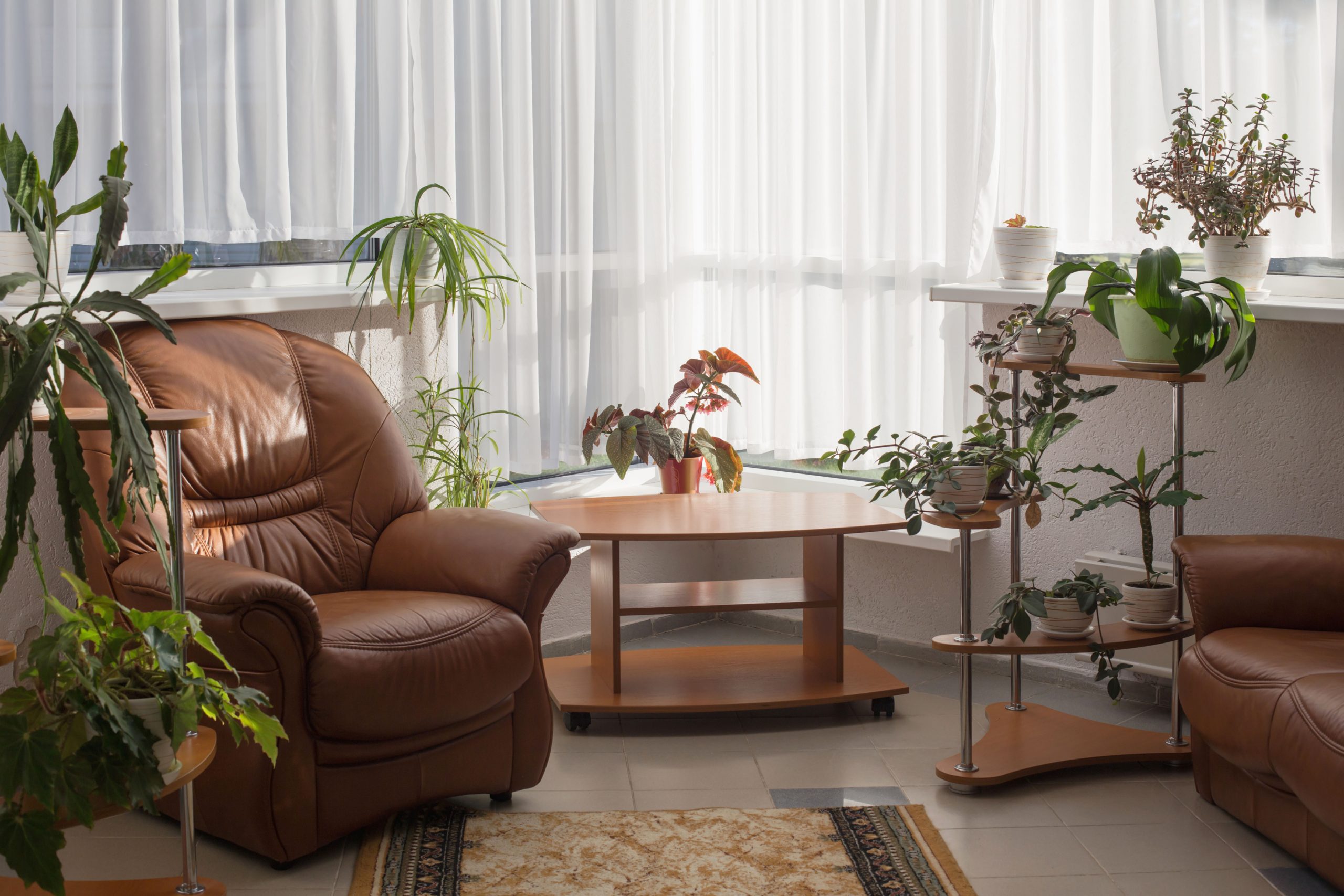 Decoración Feng Shui para tu casa