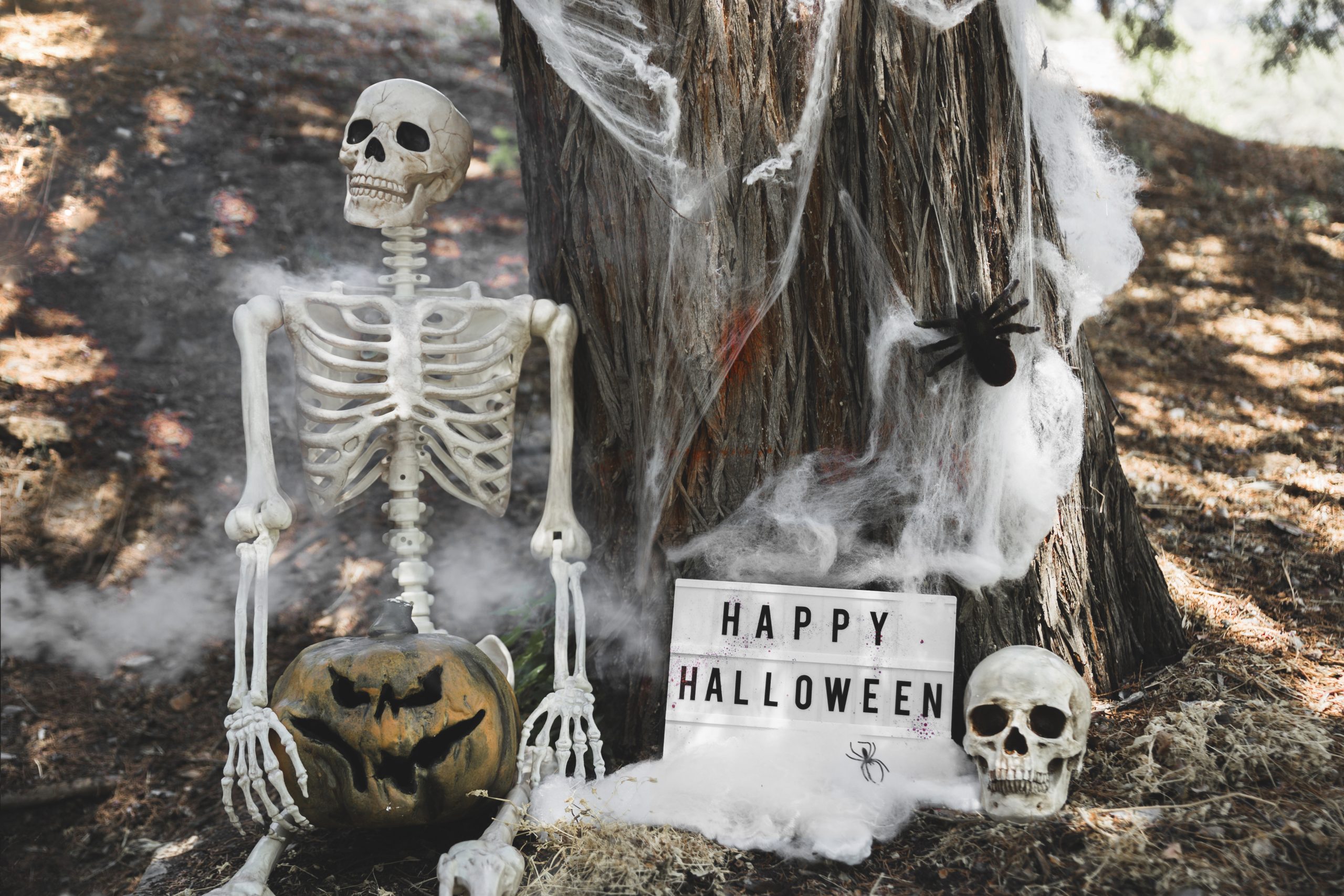 Ideas para halloween