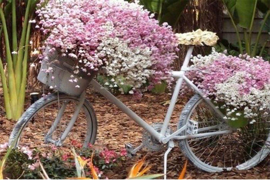 bici