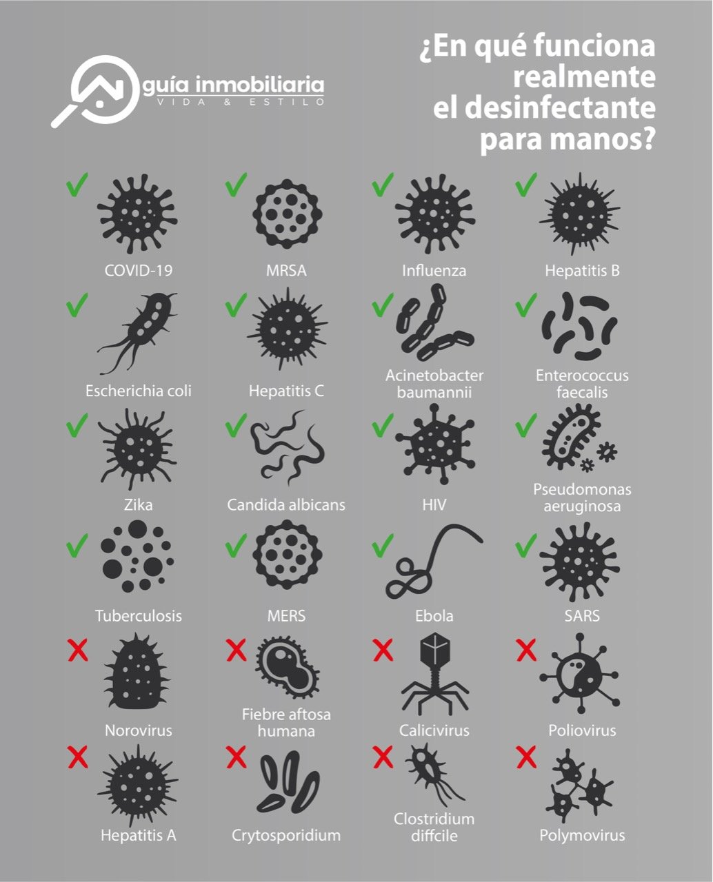 Infografía para que virus y bacterias funciona realmente el gel antibacterial