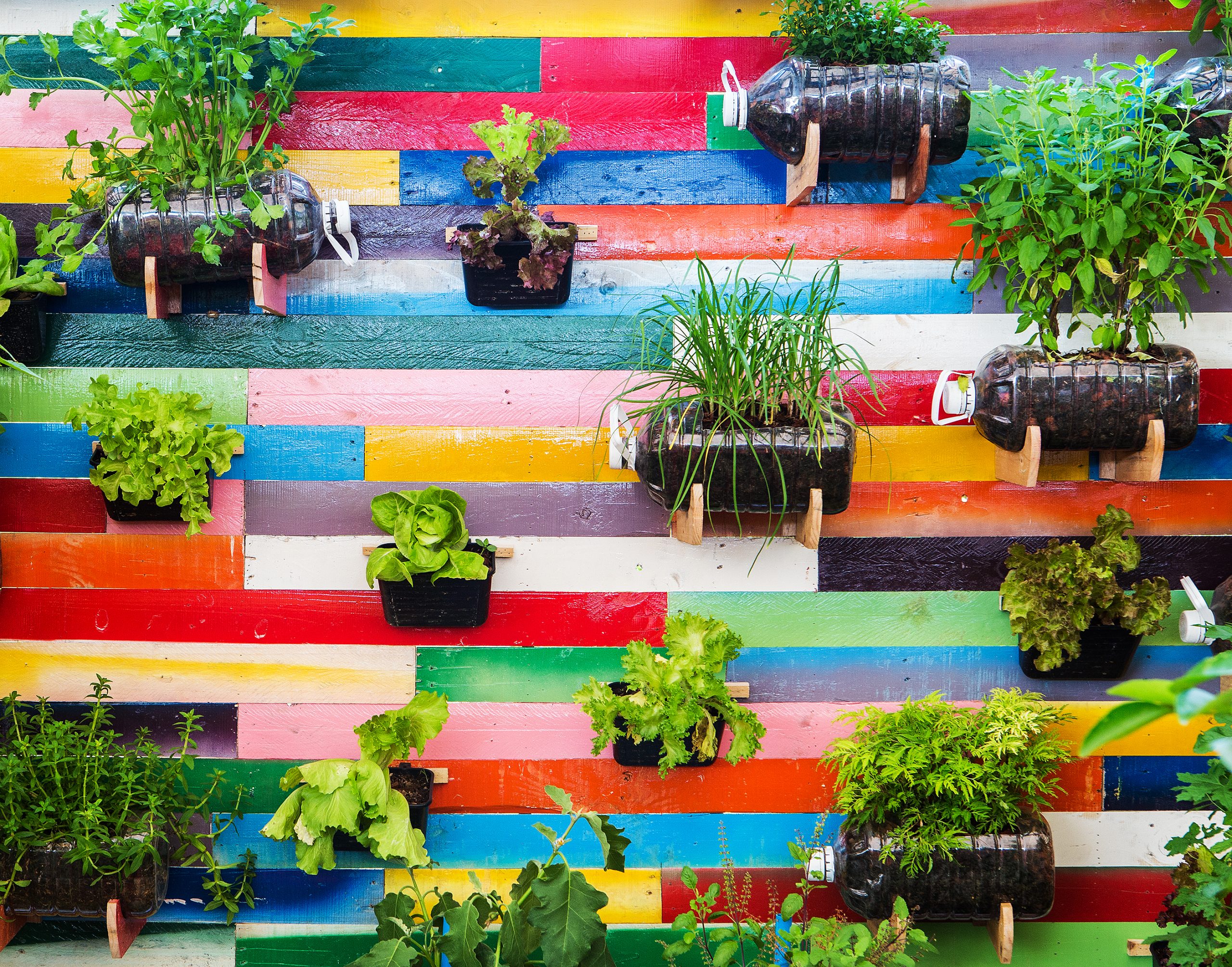 Cómo hacer un Jardín Urbano