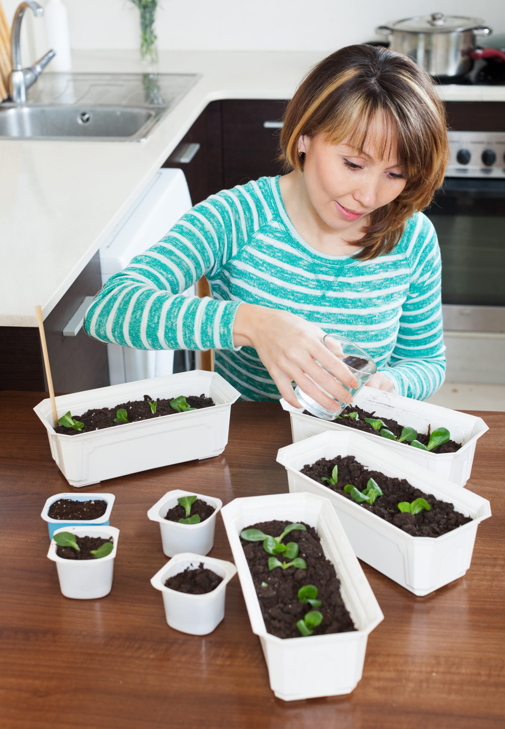 macetas Cómo hacer un Jardín Urbano macetas Cómo hacer un Jardín Urbano
