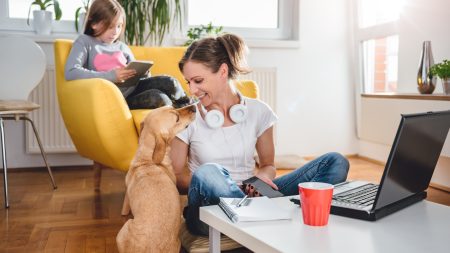 las mejores perros para departamentos