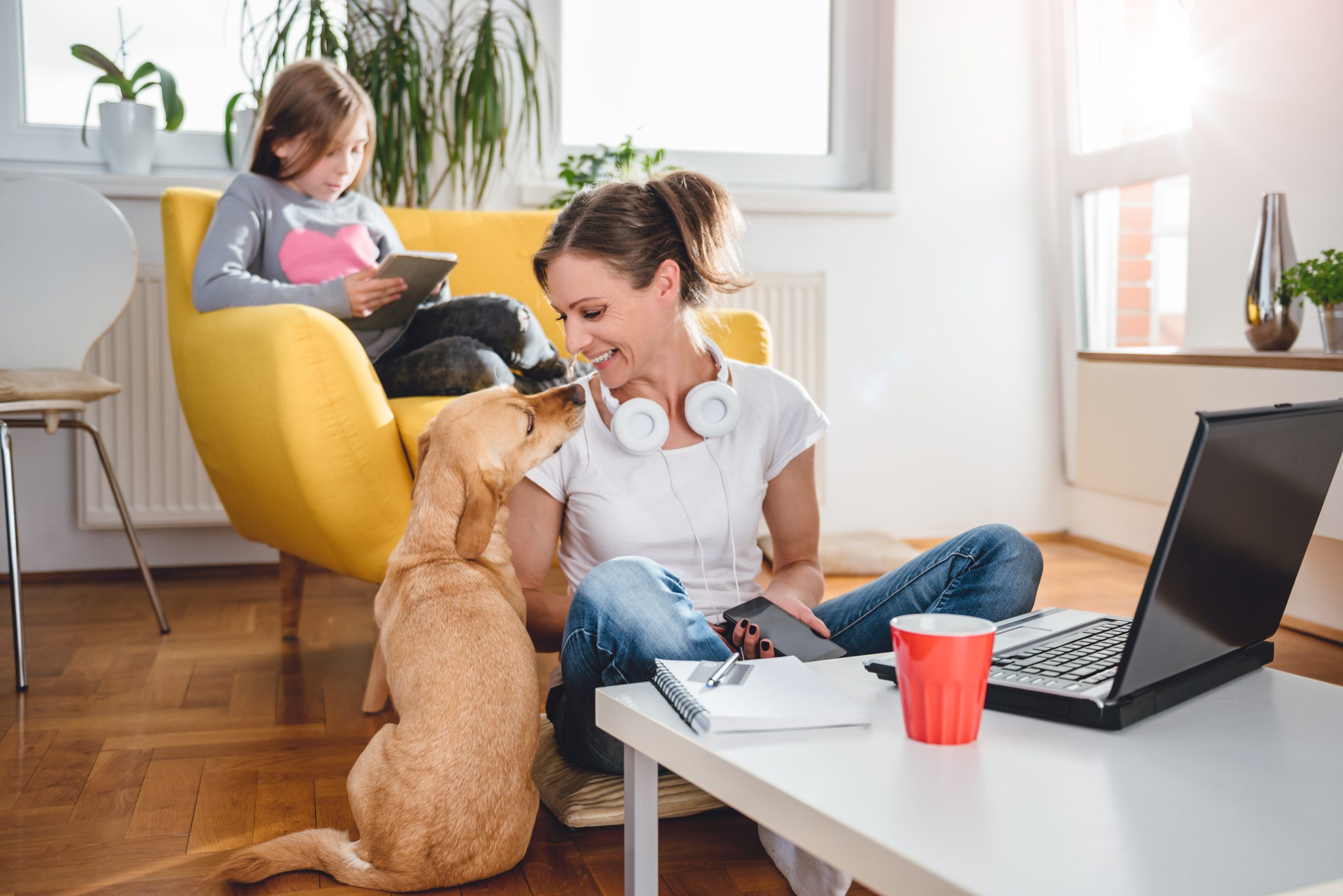 las mejores perros para departamentos