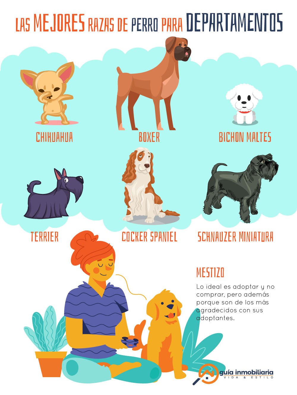 Infografía de las mejores razas de perros para departamentos