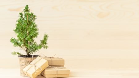 Árbol de navidad en maceta