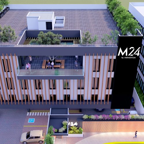 Galería M24 by Momentum 