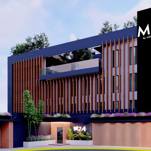 Galería M24 by Momentum 